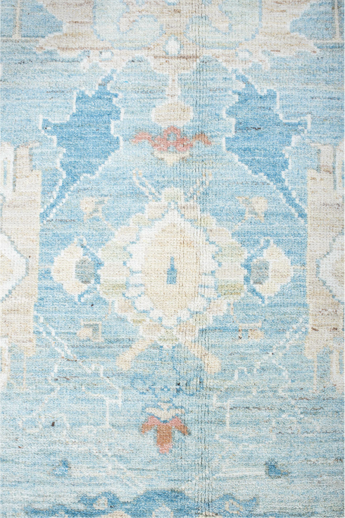 Vintage Sultanabad Area Rug (9' x 11')
